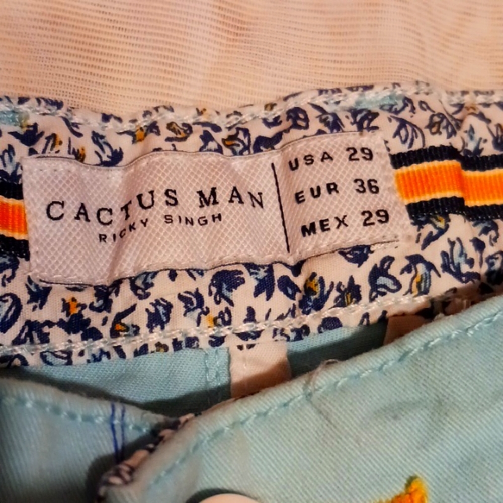 Cactus Man Shorts. Size waist 29. NWOT.